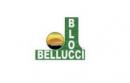 Logo brand Bellucci Bloc